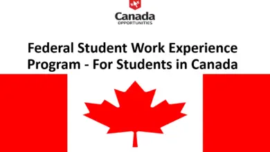 Federal Student Work Experience Program - For Students in Canada