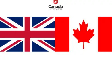 Top 10 In-Demand Jobs in Canada for UK Expats